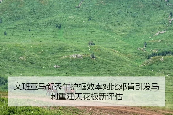 文班亚马新秀年护框效率对比邓肯引发马刺重建天花板新评估
