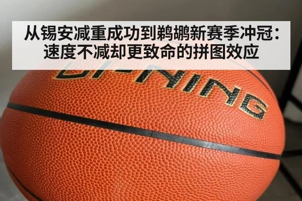 从锡安减重成功到鹈鹕新赛季冲冠：速度不减却更致命的拼图效应